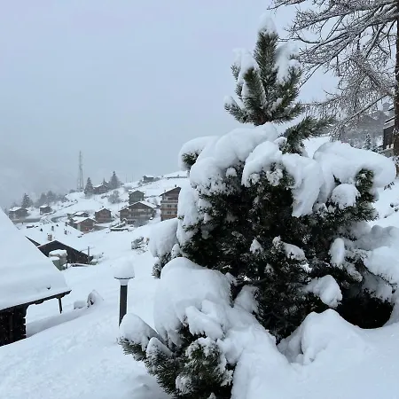 Schwarzhornblick Lejlighed Grächen