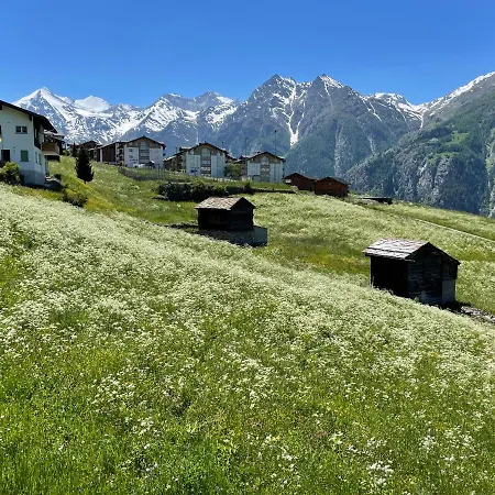 Schwarzhornblick Lejlighed *