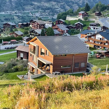 Apartment Schwarzhornblick