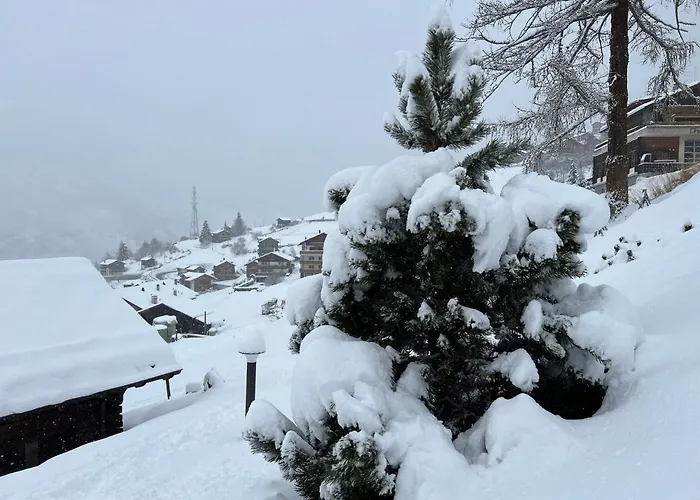 Schwarzhornblick アパート グレヘン