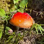 Schwarzhornblick
